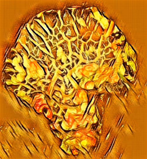 Item #80050559332347163335601971796963442430023304175303914027877321124173085409380 Media