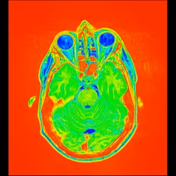 64162533542198579898252916190583583845604629893829087458582976150412785090561