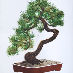 Hand Painted Bonsai #0009