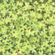 49795346676746902020637360352918313777240428681367518281101964471177213640705