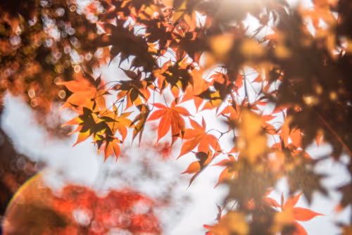 Item #108911492996146874115956011896780761878527851196280444702557873466589875011585 Media