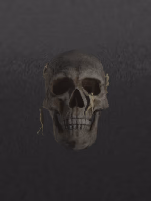 Item #68836430189832402370535328047965162994449229950202155782937892781207702208513 Media