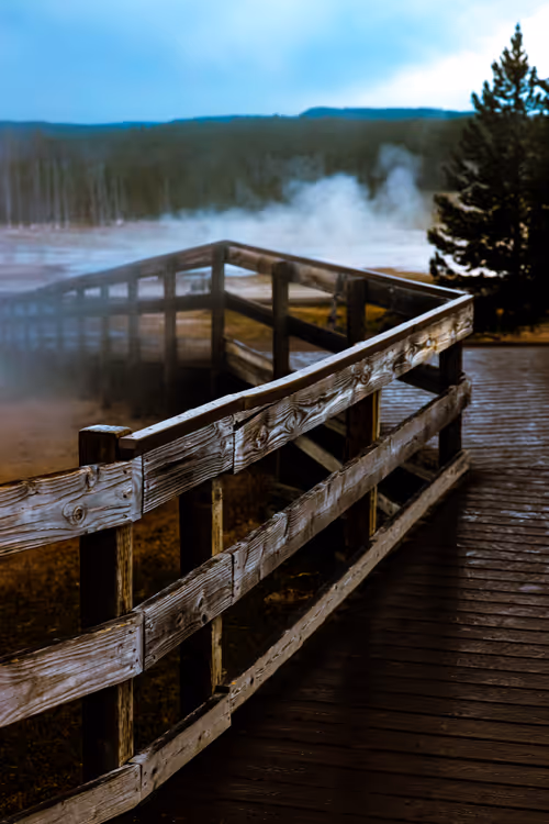 Item #15297189145007819332952477315735476032529554073284948694775240681638898696193 Media