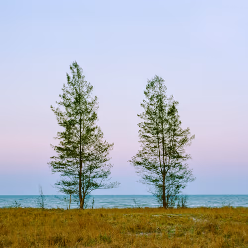On pastel sky.