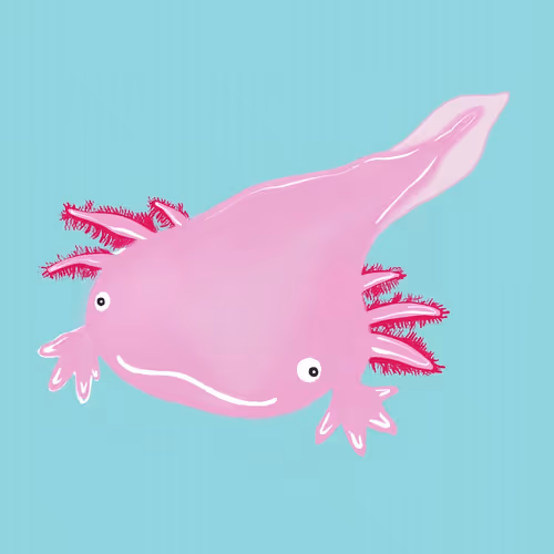 Item #63394889464776947640994999177042947820752530038038357440375934251567111208961 Media