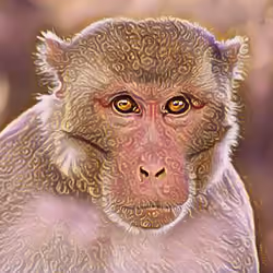 The Monkey