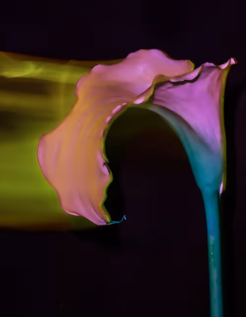 Item #6543125285758794139519418366552479585360659536622126303737984980396359548929 Media