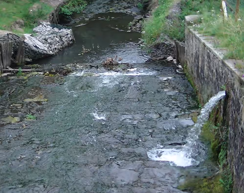 Item #54224321926003694435266939492580043428521878232986181408238757567777195687937 Media