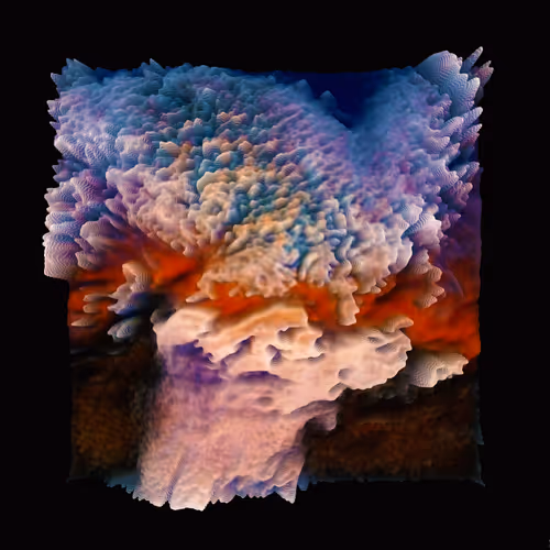 Item #22649125704269163094356241950234990423345502107031132782905603805586466537473 Media