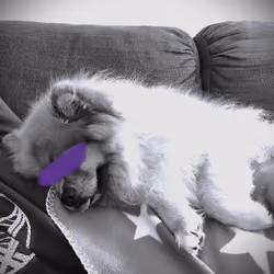 Descanso del Guerrero