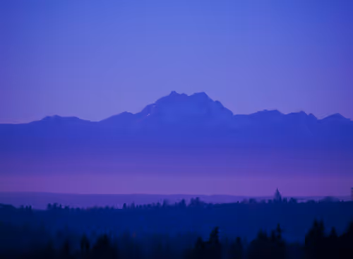 Item #41499236652340592734328289571973556148074028126370089423208509339335647035393 Media