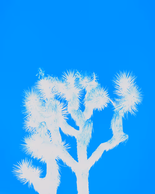 Item #30505376151714534788901893272426756078868651055776643414965977854306588557315 Media