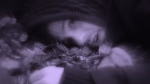 Item #103537636428956788553245855199027552722548685417663804032293973250338948382721 Media