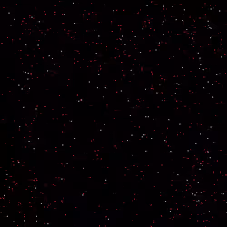 79474043386007515231711426365448879715168924404193302759635951077235510738945