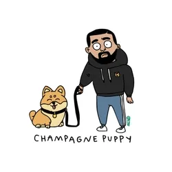 CHAMPAGNE PUPPY