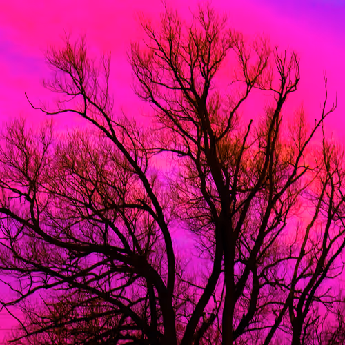 Item #35965218379738729691291467168286792303482134167127854404987491614173180198913 Media