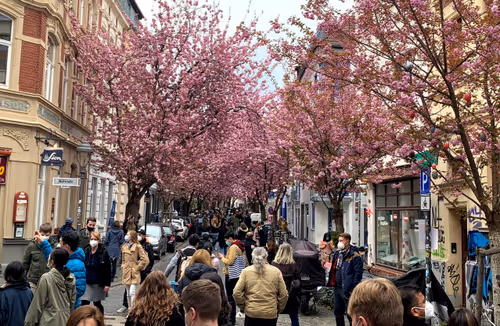 Item #26989150164140609200247036079790408866606814908493437460198890363672229576705 Media