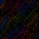 95556461673868140295490769526919605847522010461793300709344106722004173848577