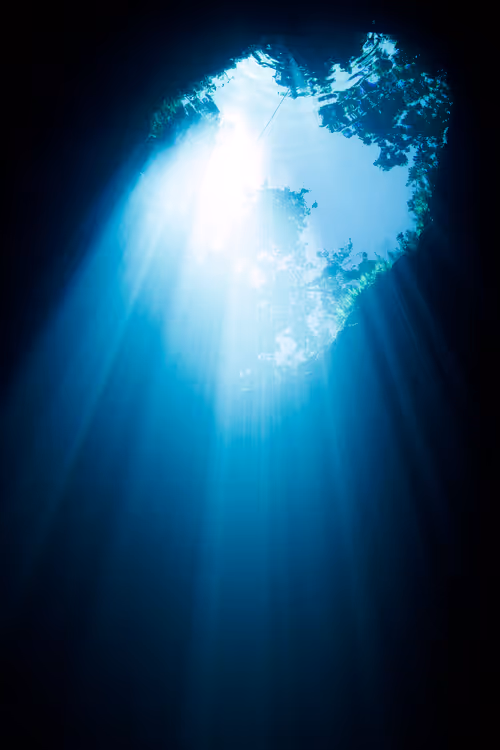 Item #25422583313571458459737529461820134862175223810011730482418987942035211681793 Media