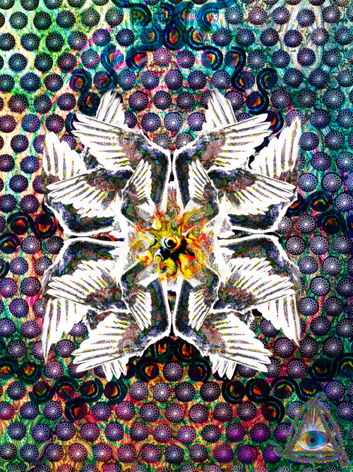 Item #46270756241811991846954908847362512790842467969102230514679737602877362798593 Media