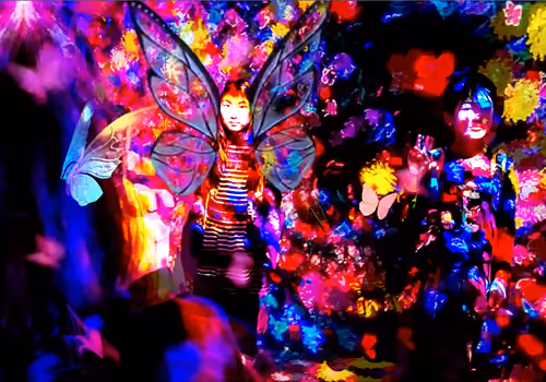 Colourful Boundary 01