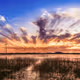 Morates' Landscapes