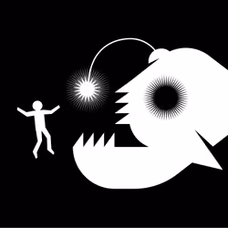 Shine A Light