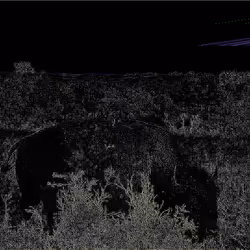 105089968166921690156624725616502706642431777719922472152070405803026640011265