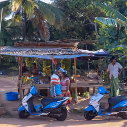 Roadside Fruitstand