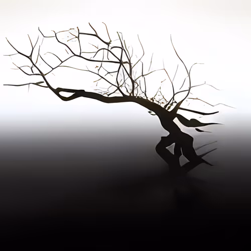 Item #26584738605176223090434173052627347330362742323321448247908135616500415332353 Media