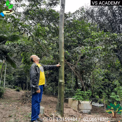 Item #8500196597889277390194123329501889087166328879864934763448348767641220939777 Media