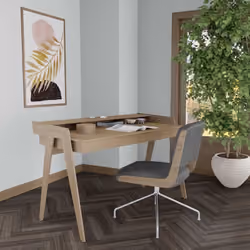 Home Office
