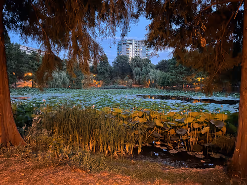 Item #27084933220052464444654272208762827039666035184275575188108591538218039508993 Media