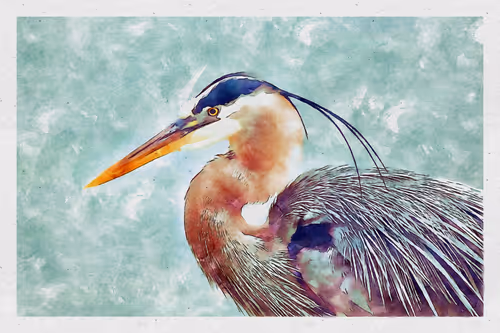 Item #55704534837685659622621715309832868758345944585427688586690141392674110832641 Media