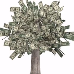 money grow on trees 