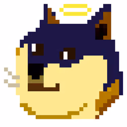 God is in the Doge #24