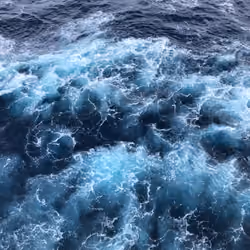 Delighted Ocean Waters