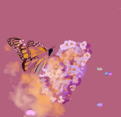 more butterflies