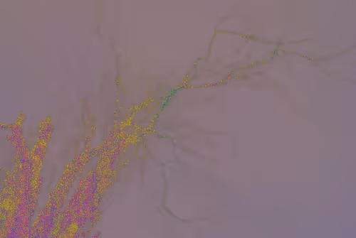 Item #37481202302724643252724013856910151299009205756446594056120905813061240094721 Media