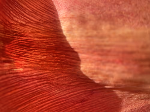 Item #101798116254510798330486236990451841615541533753866395116378150703708623601665 Media