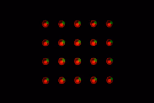 Item #106341816645777573938674110278491376364599424658286782072940899461711613919233 Media