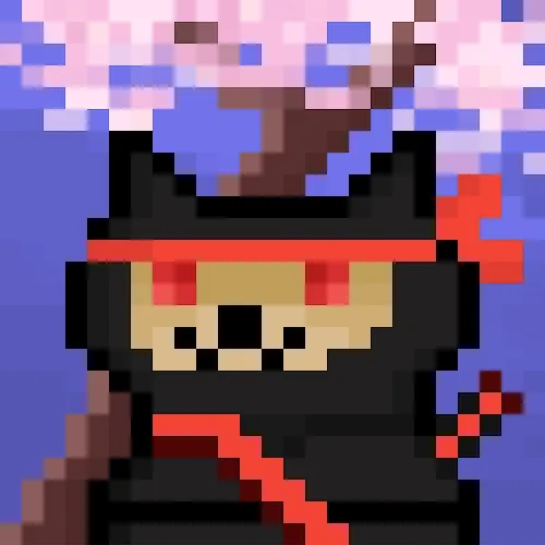 Ninja Doge Twin Brother