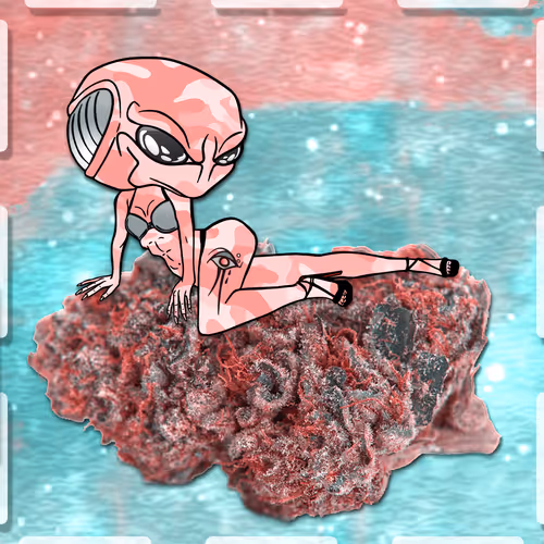 109042038186066953330220949848526093336034299754543175109562740566140167127041