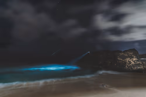 Item #78064220502355505726869985793984720926867023015257308531581829186789761351681 Media