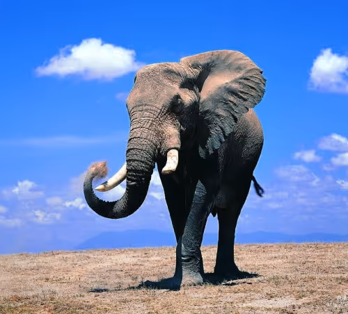 Untitled Collection #464004802