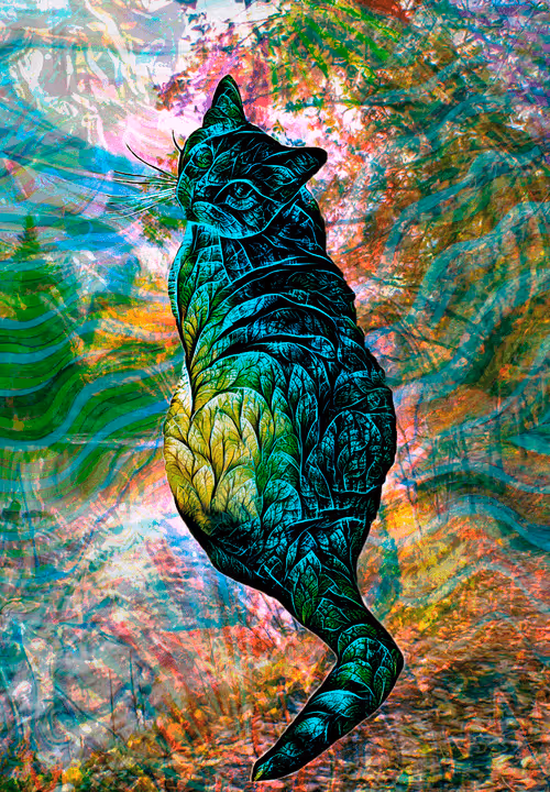 Item #23970642222808392989865087712963609079521043964881081446179584790681408765953 Media