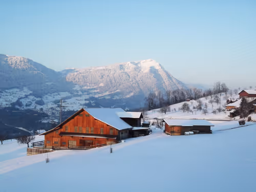 Item #57616968774937305667495645743759075996351860147408322149889343968967617675265 Media