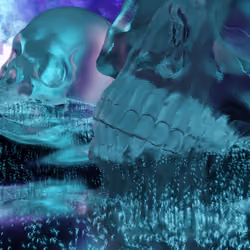 Dreamscape