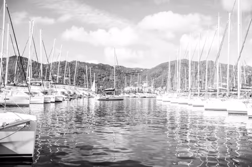 Item #92971587401879212914465603849674525645265351012255145539777938558625698021377 Media