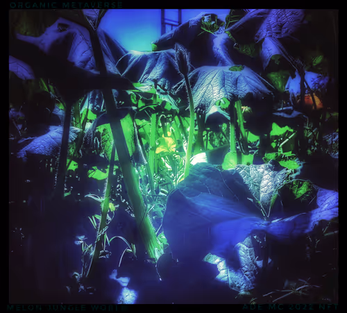 Item #3787080761074609709675817509753112159059746763483256848434353639160268455941 Media